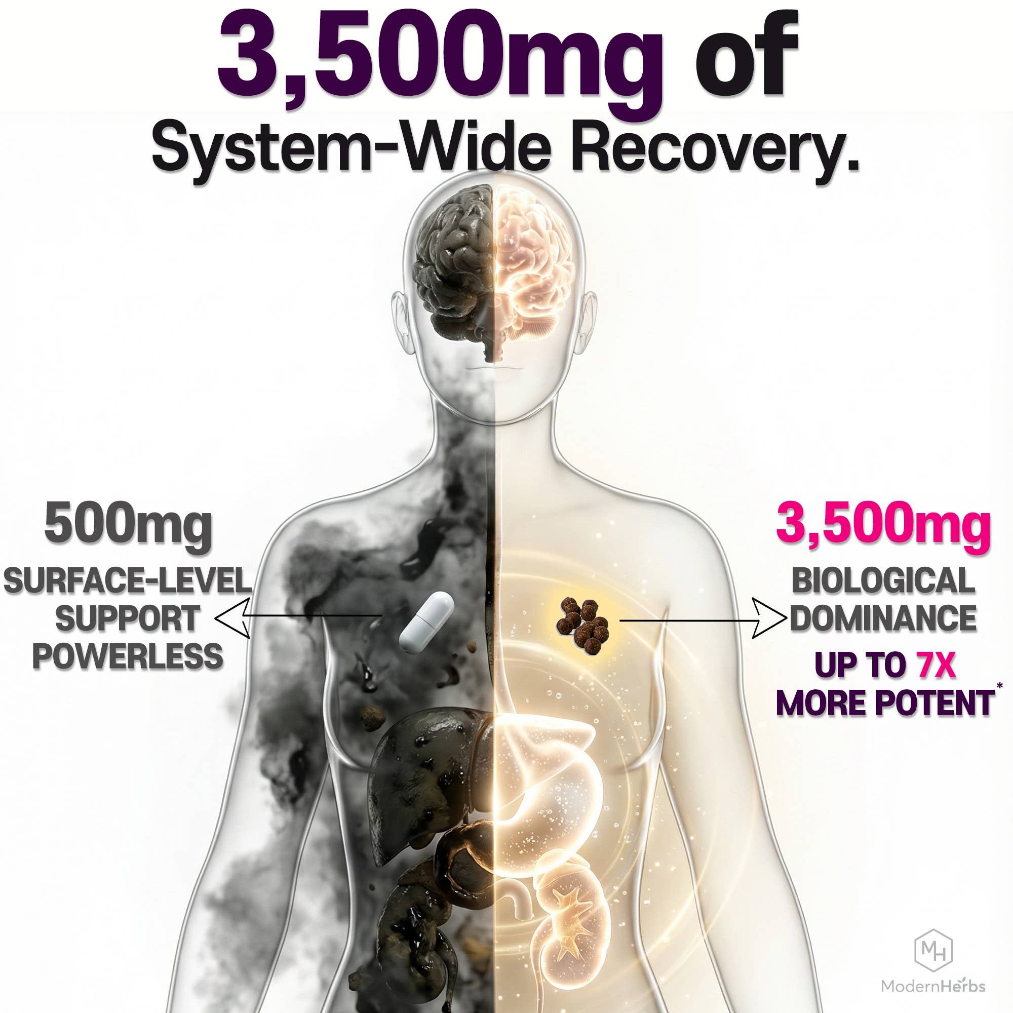 Modern Herbs – wholesale Oral supplement/vitamin – Herb-based Hangover Prevention | ILUNA Recovery  (1 Box)3