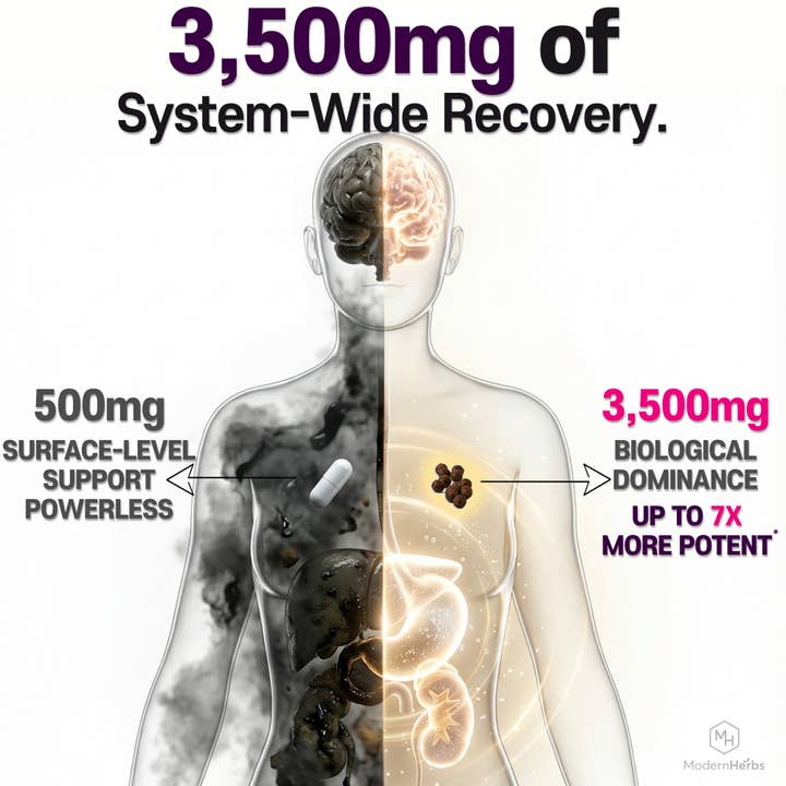 Modern Herbs – wholesale Oral supplement/vitamin – Herb-based Hangover Prevention | ILUNA Recovery (1 Box)3