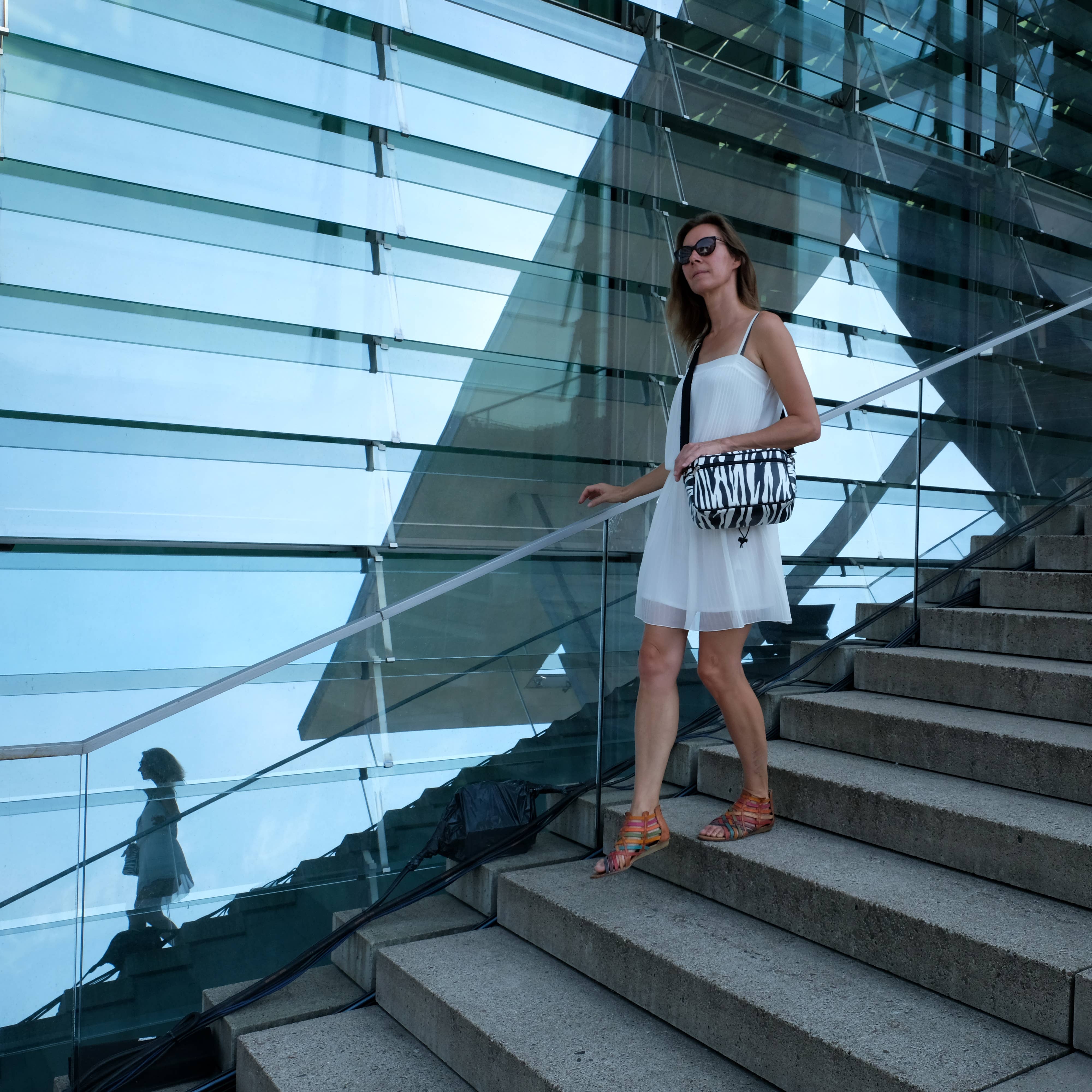 Ikuri - Vendita all'ingrosso Accessori per ciclisti - Borsa da manubrio - piccola borsa per bicicletta da manubrio - Zebra5