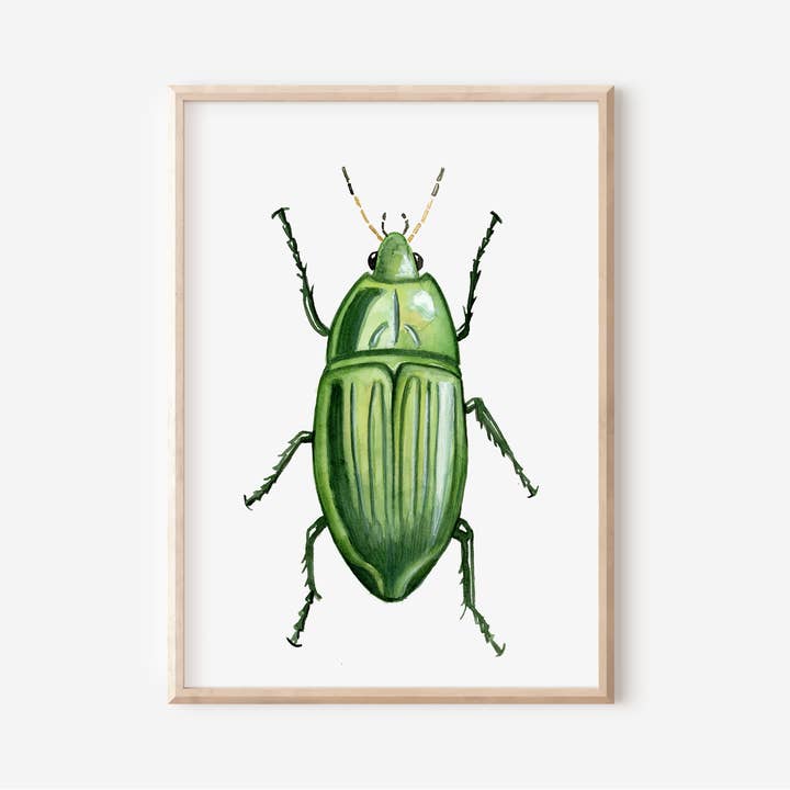 Jewel Beetle Art Print | Pre-Order for wholesale by 9+C Designs