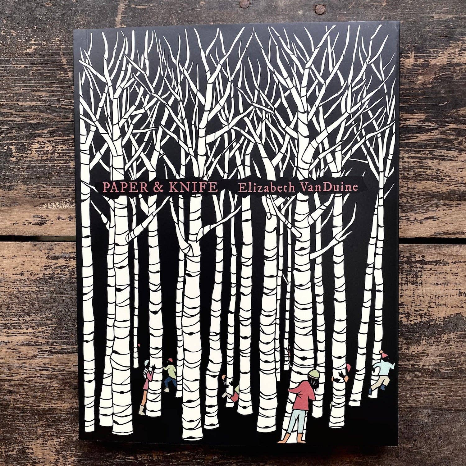 Elizabeth VanDuine - Wholesale Arts & Entertainment Book - Paper & Knife by Elizabeth VanDuine6