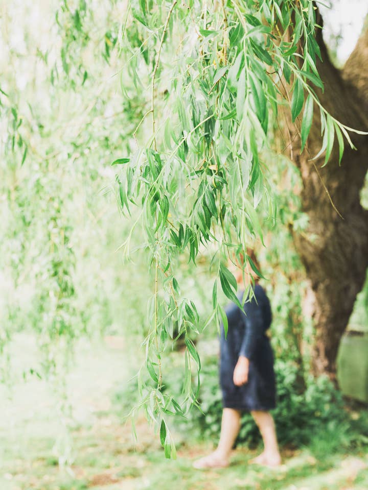 Duftentdeckungs-Workshop Privat/White Label für den Großhandel von Willow & Finn Wellbeing | Soy Wax Refillable Candles