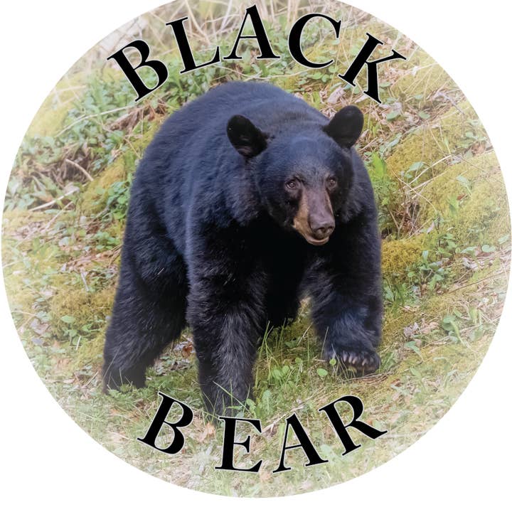 OSO NEGRO - IMÁN FLEXIBLE para venta al por mayor de Phil Stagg Photography