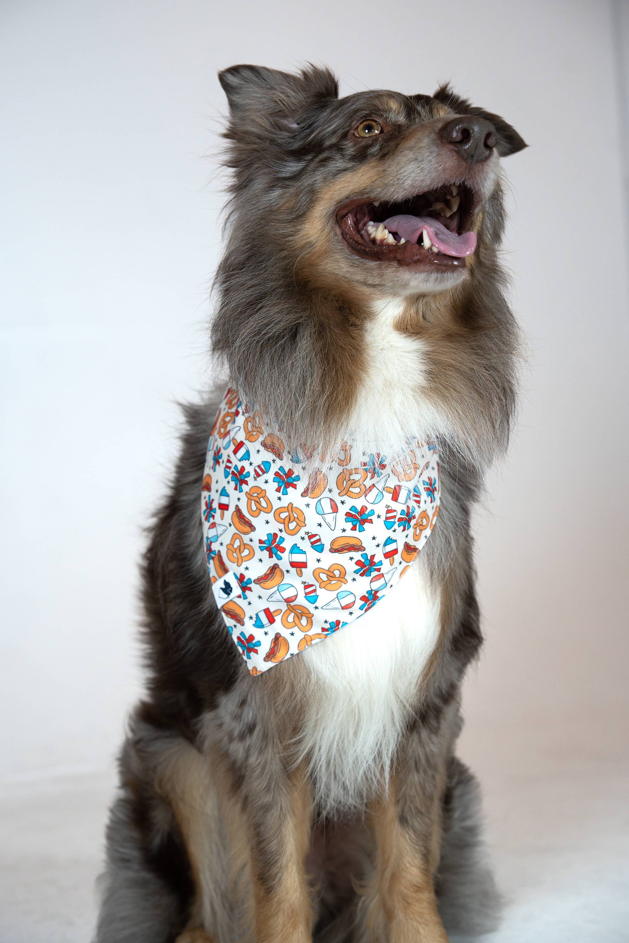 Dog Bandana Co. - Vendita all'ingrosso Bandana - Cani - Bandana Estiva Patriottica per Cani1