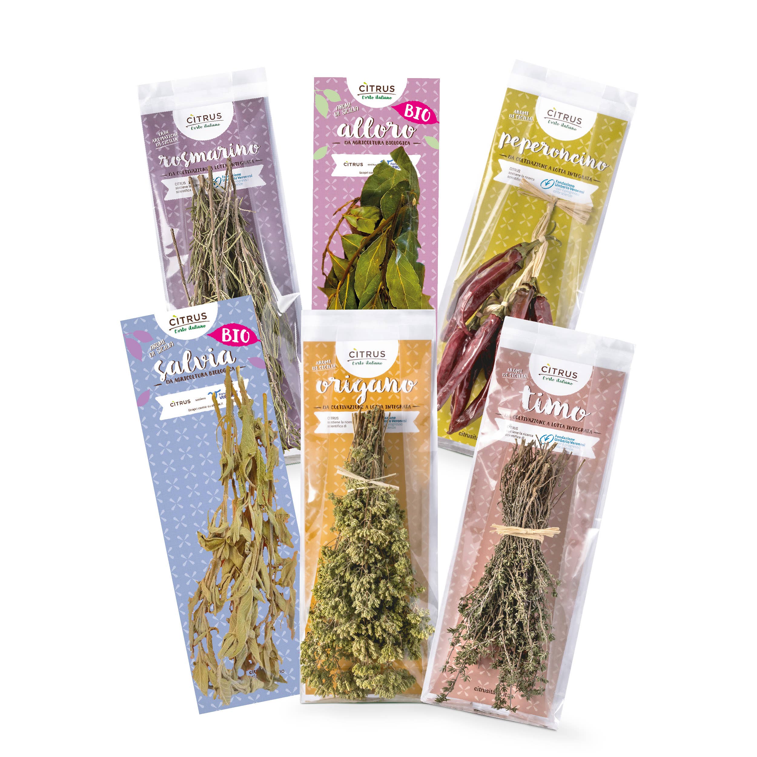 Citrus L'Orto Italiano – Engroshandel Krydderurter – Italiensk økologisk timian | 25 g2