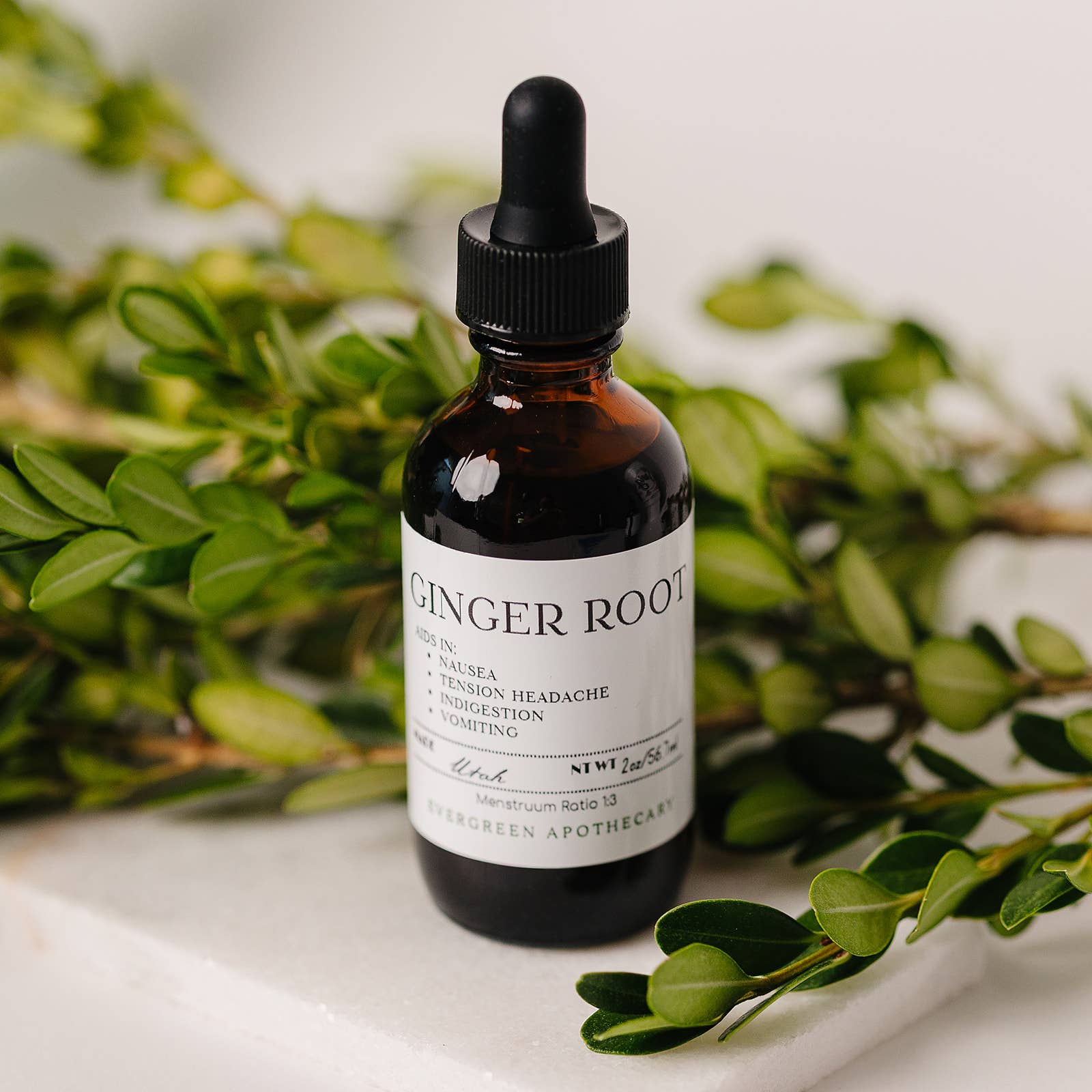 Evergreen Apothecary - Wholesale Tincture - Ginger Root Tincture, for Nausea, 2oz 6