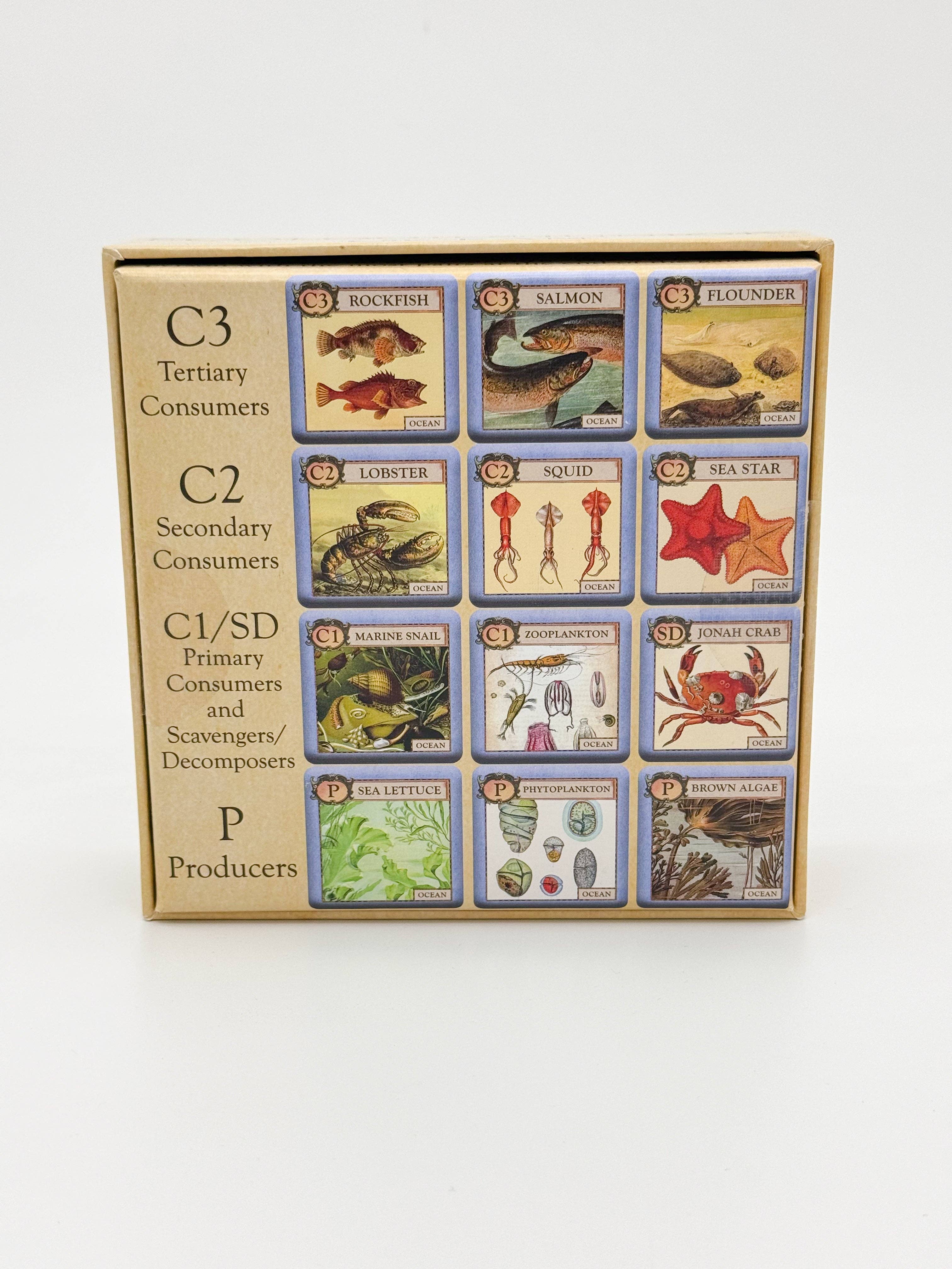 Montrose Biology - Vendita all'ingrosso Giochi di carte - Ecologie Junior: Oceano2