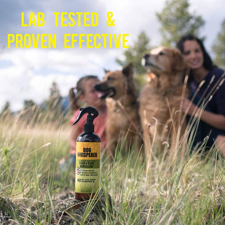 YAYA Organics - Vente Spray – chien - Chien Whisperer Tick + Répulsif aux puces - 16 oz