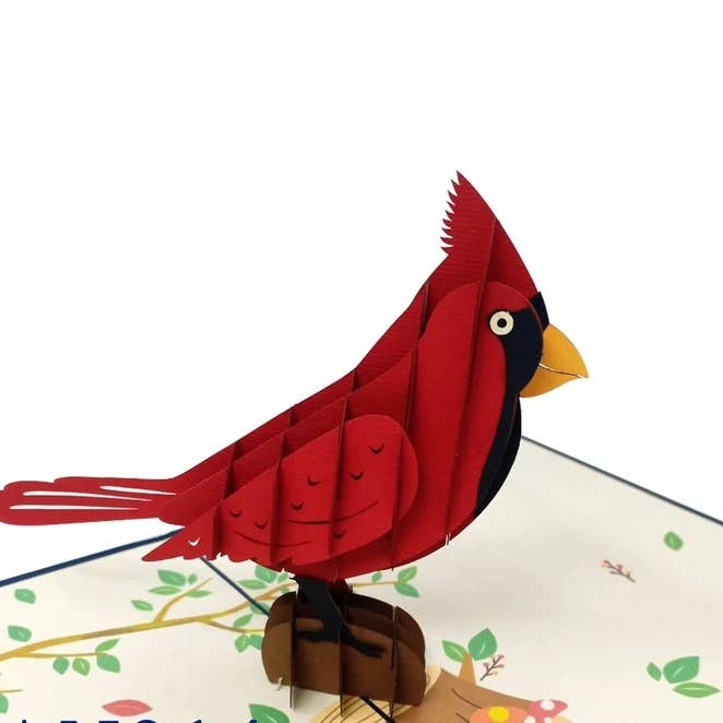Wonder Paper Art - Venta al por mayor Tarjetas de felicitación - Tarjeta Pop Up Cardinal, Tarjeta 3D