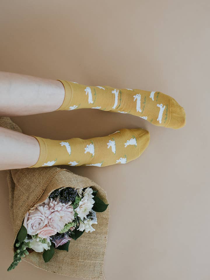 Friday Sock Co. - Wholesale Socks - Unisex - Women's Bunny Socks, Mismatched Easter Basket Stuffer1