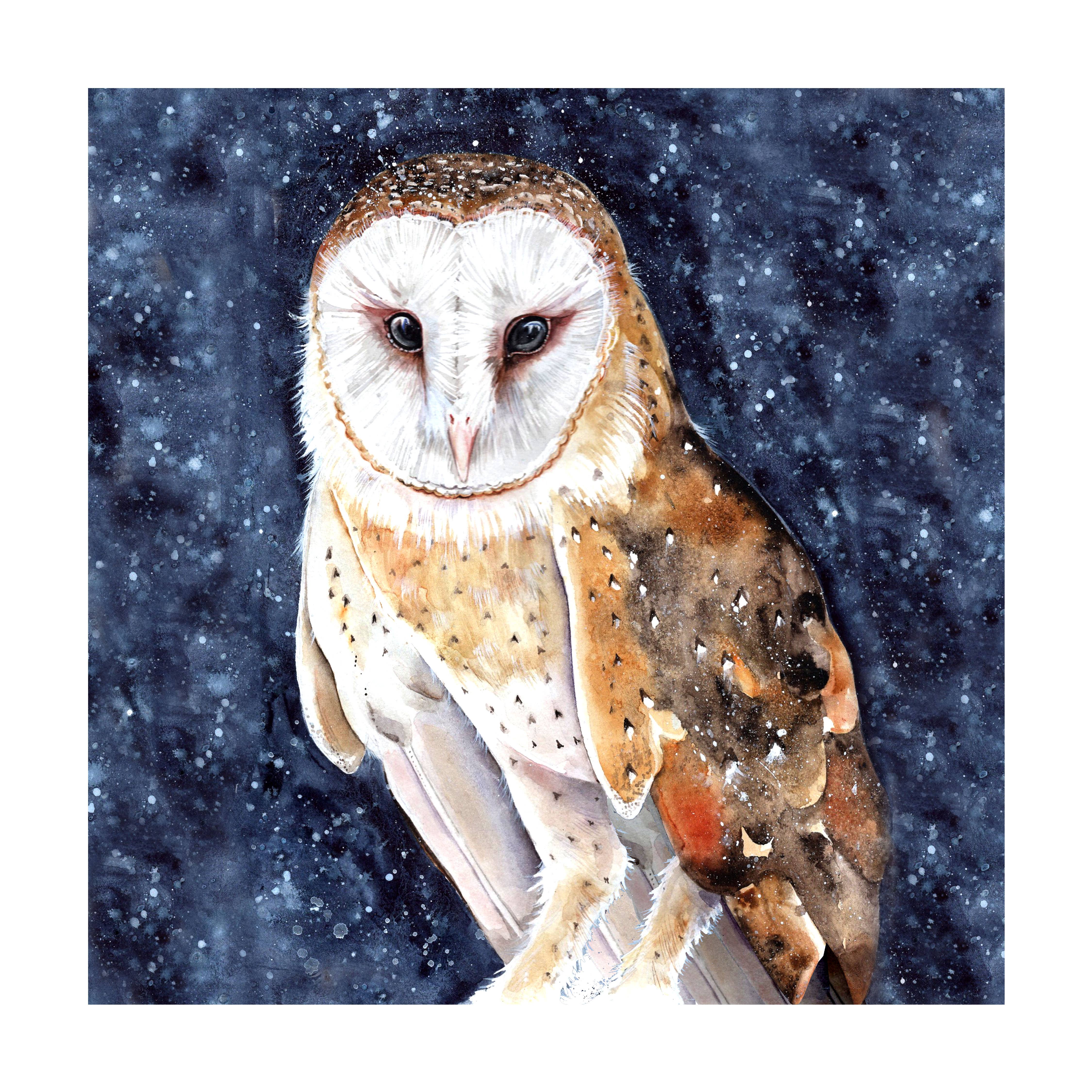 Lookwhatdebbiedid – wholesale Everyday greeting card – Barn owl nature watercolour painting art greeting card 1