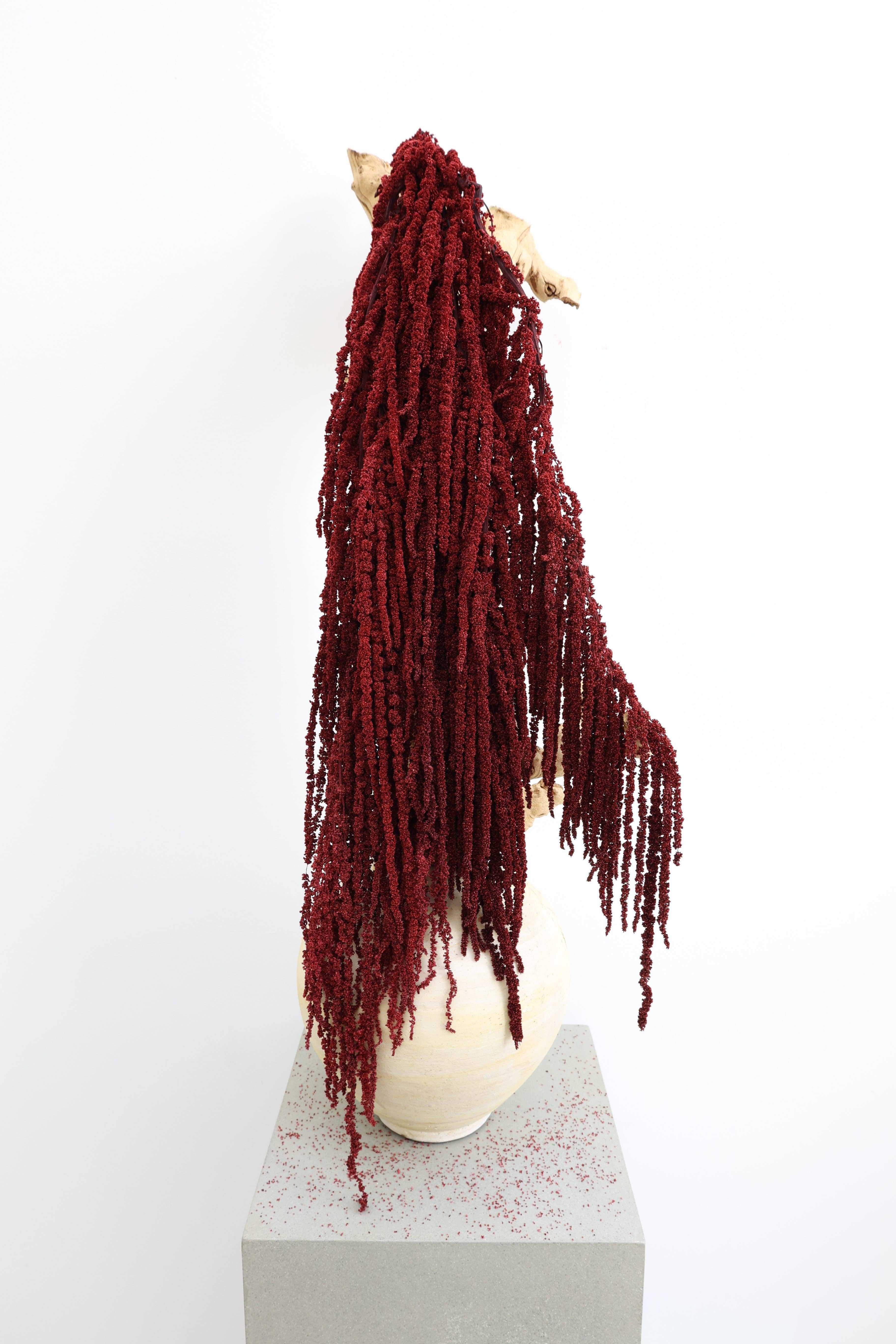 FlowerFantaSee – wholesale Torkade/pressade blommor – Djupt Röd Konserverad Amarant