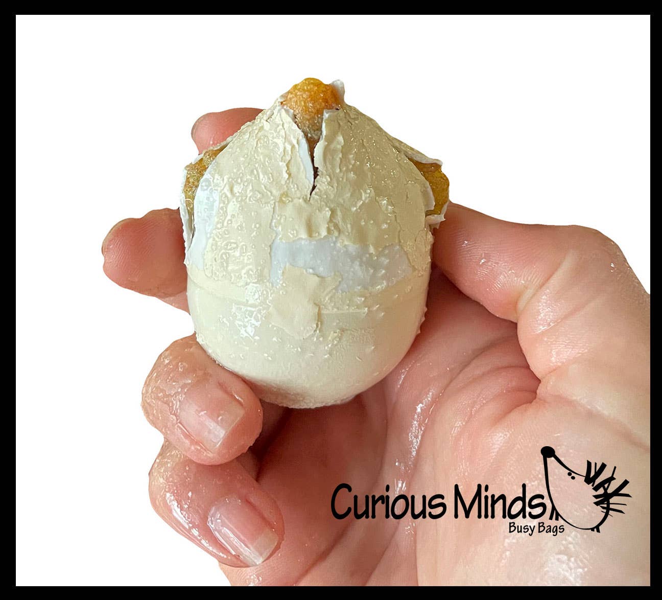 Curious Minds Toys - Wholesale Toy Set - Kids - 1 Hatch a Turtle Animal Grow in Water - Add Water Expands3