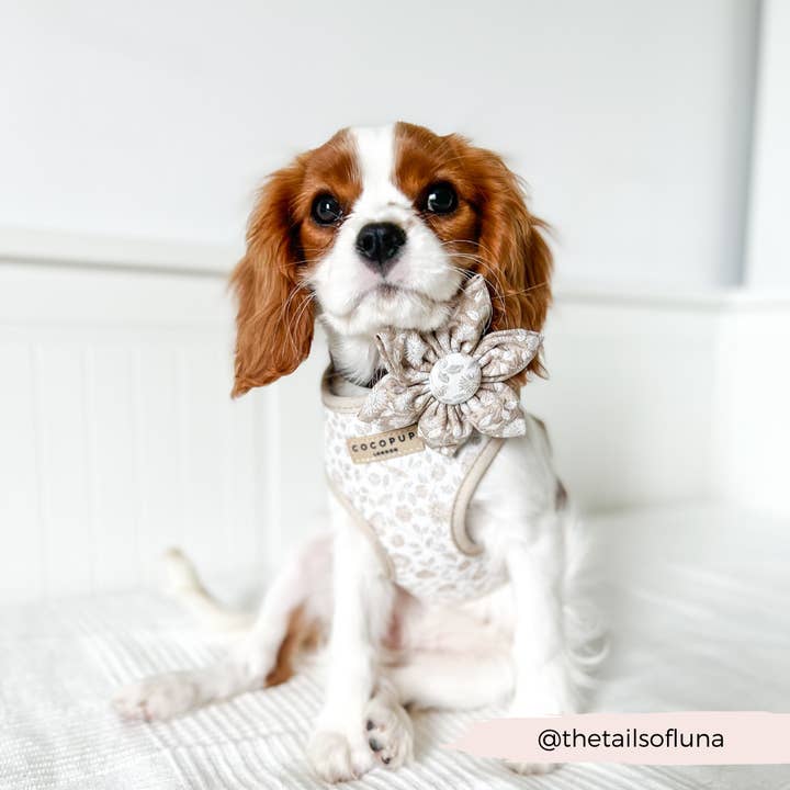 Cocopup London - Wholesale Pet collar – Dog - LUXE Garden Meadow Collar Flower4