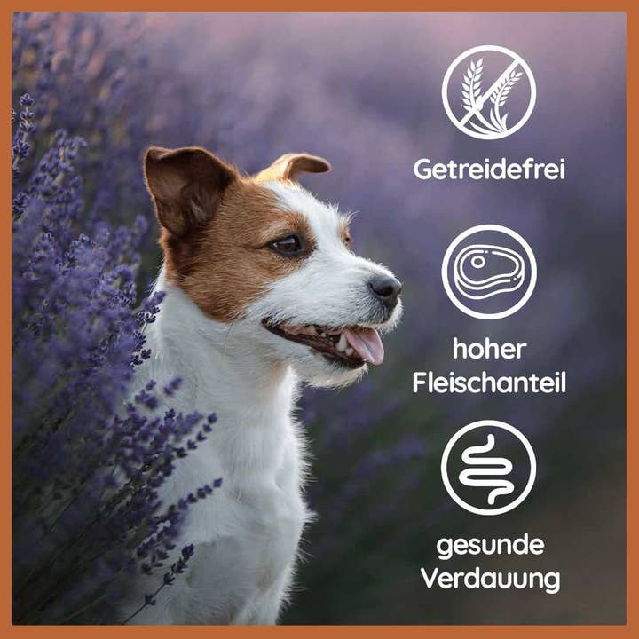 WILDFANG – Großhandel Tiernahrung – Hund – Nassfutter Huhn pur - BARF Qualität