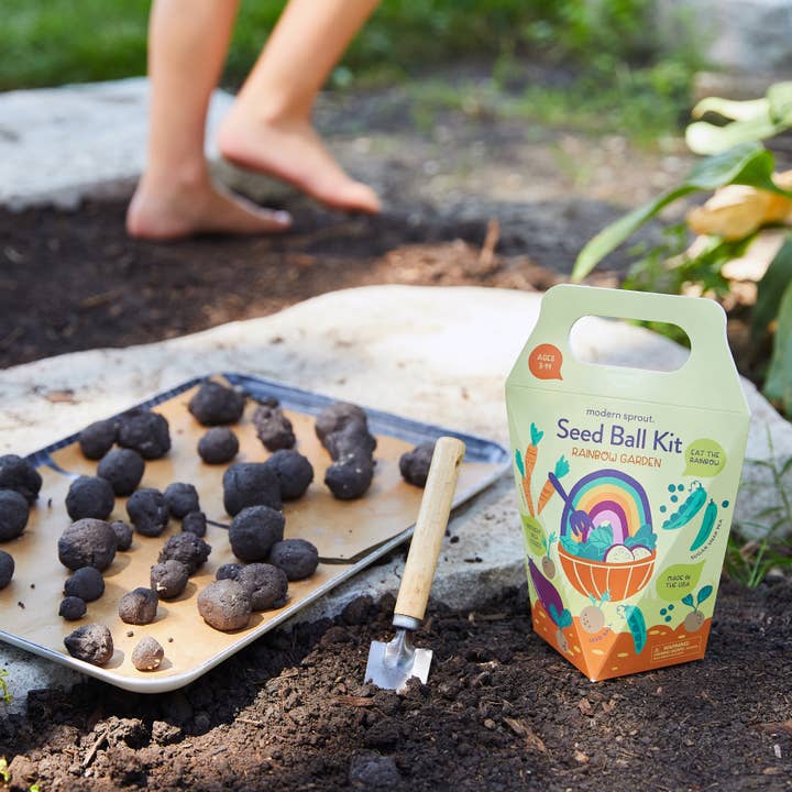 Modern Sprout - Wholesale DIY Craft Kit - DIY Seed Ball Kit