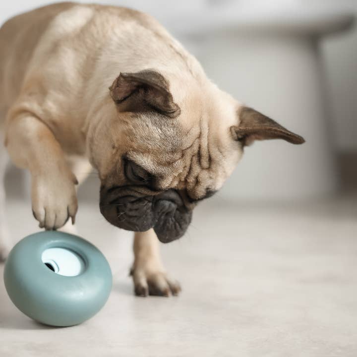 Lunoji – wholesale Pet toy – Dog – Pebble: All-in-One Dog Toy | Slow Feeder + Treat Dispenser
