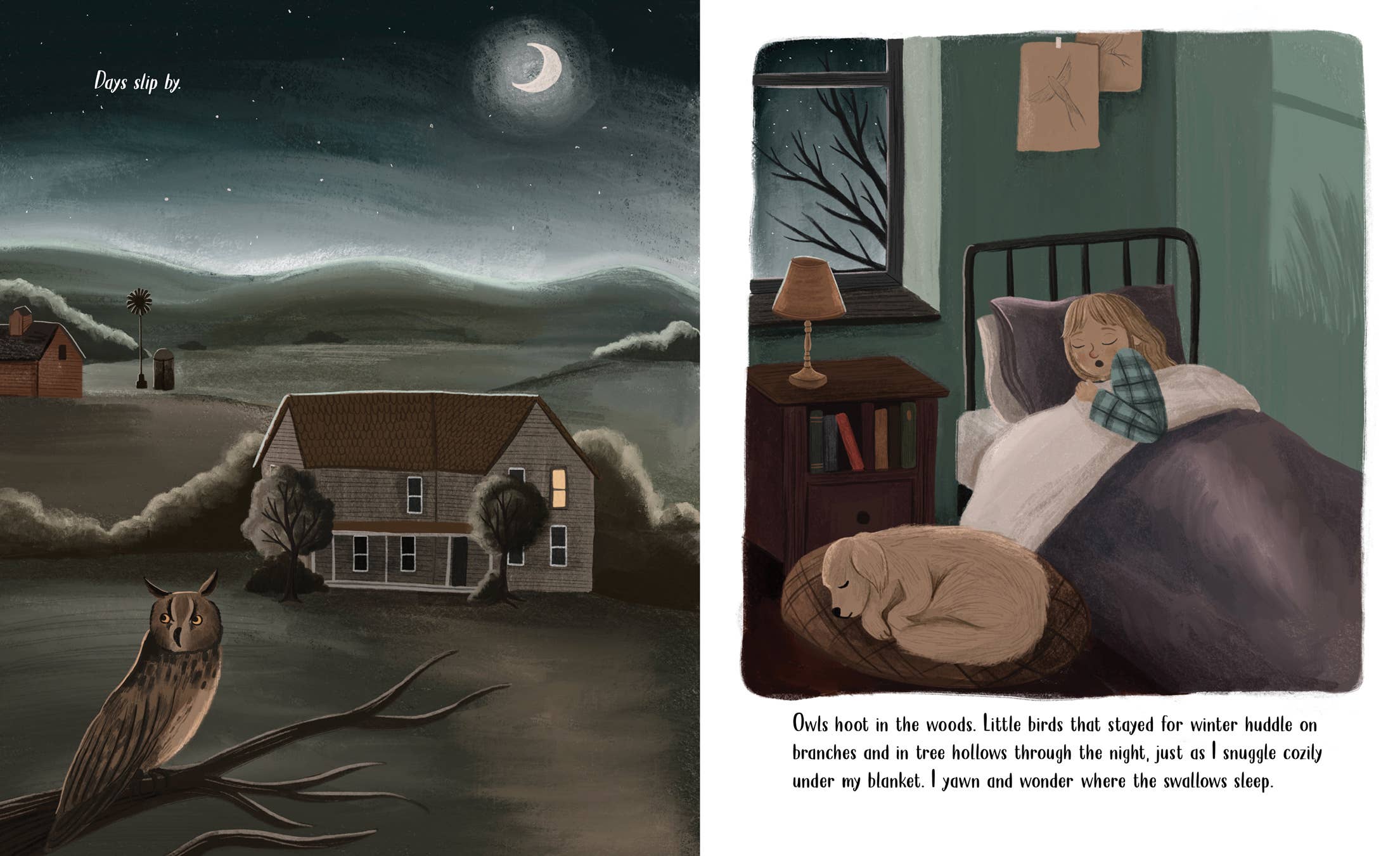 Sleeping Bear Press - Vente Livre – enfant - Livre d'images des hirondelles tourbillonnantes5