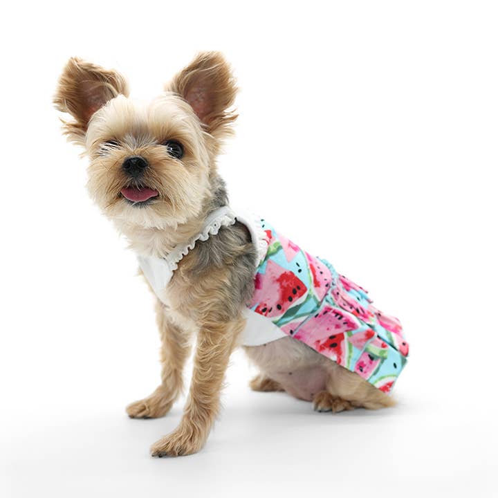 Dogo Pet - Wholesale Pet Dress - Dog - Watermelon Sundress1