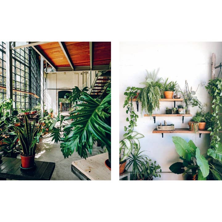 HarperCollins - Wholesale Home & Garden Book - Plant House : Beautiful spaces inspired by nature8