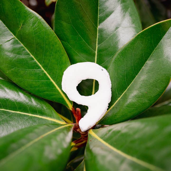 Love Liparu - Wholesale Pet Treats - Dog - MARSHMALLOW NUMBER | Freeze-Dried Dog + Cat Treat9