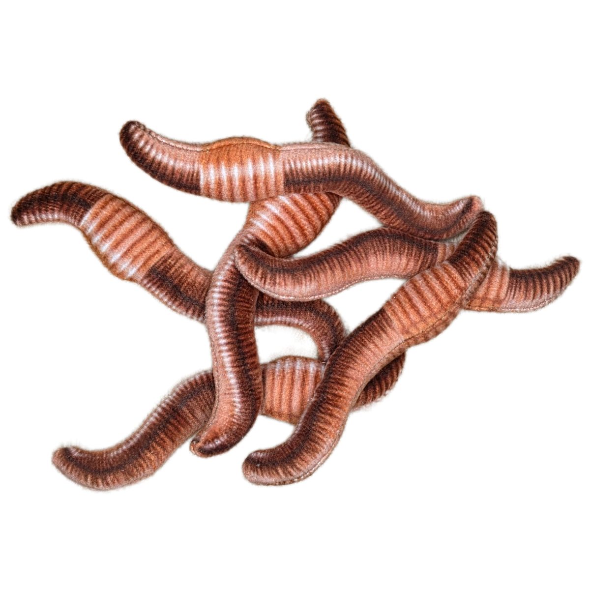 Canned Gifts - Wholesale Gag Gift/Novelty Gift - Can O' Worms - EcoFriendly Plush Gift for Fishermen w/Jokes4