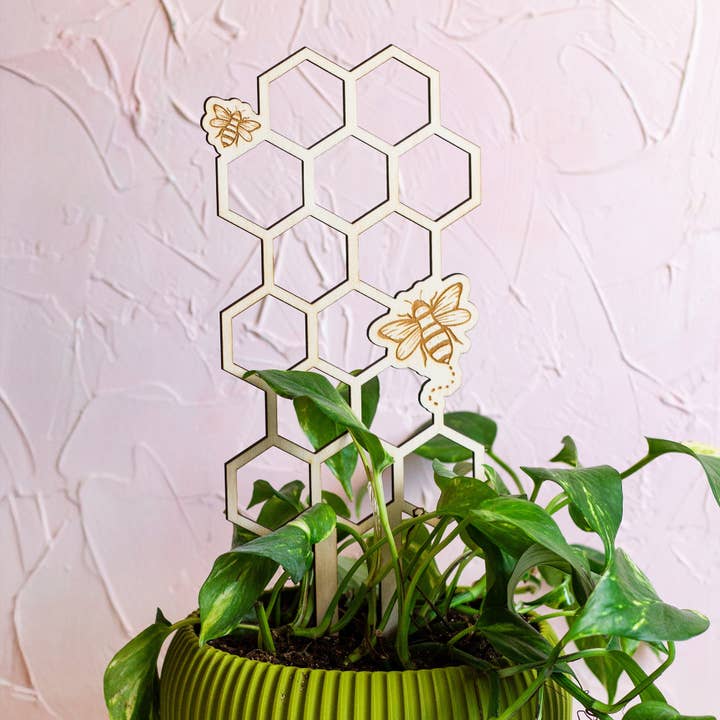Treillis en bois en nid d'abeille pour plantes pour la vente par The Print Pantry