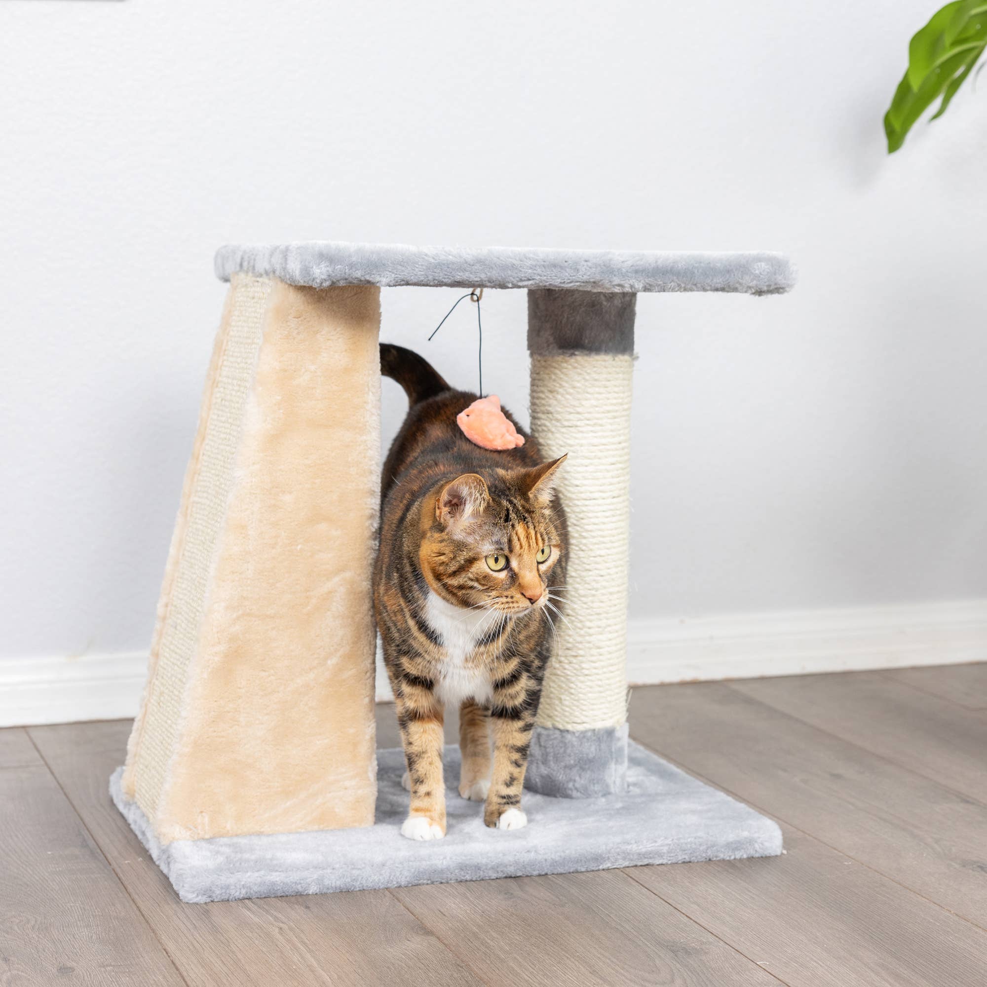 Armarkat - Wholesale Pet Scratcher - Cat - Armarkat  2 Level Platform Scratcher Real Wood Cat Post4