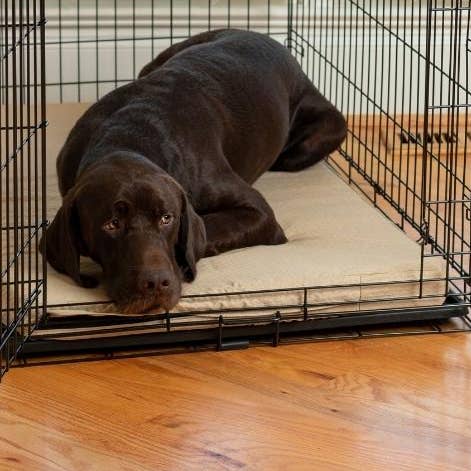 Fully-Washable Forgiveness Luxury Dog Crate Pad for wholesale by Snoozer Pet Products