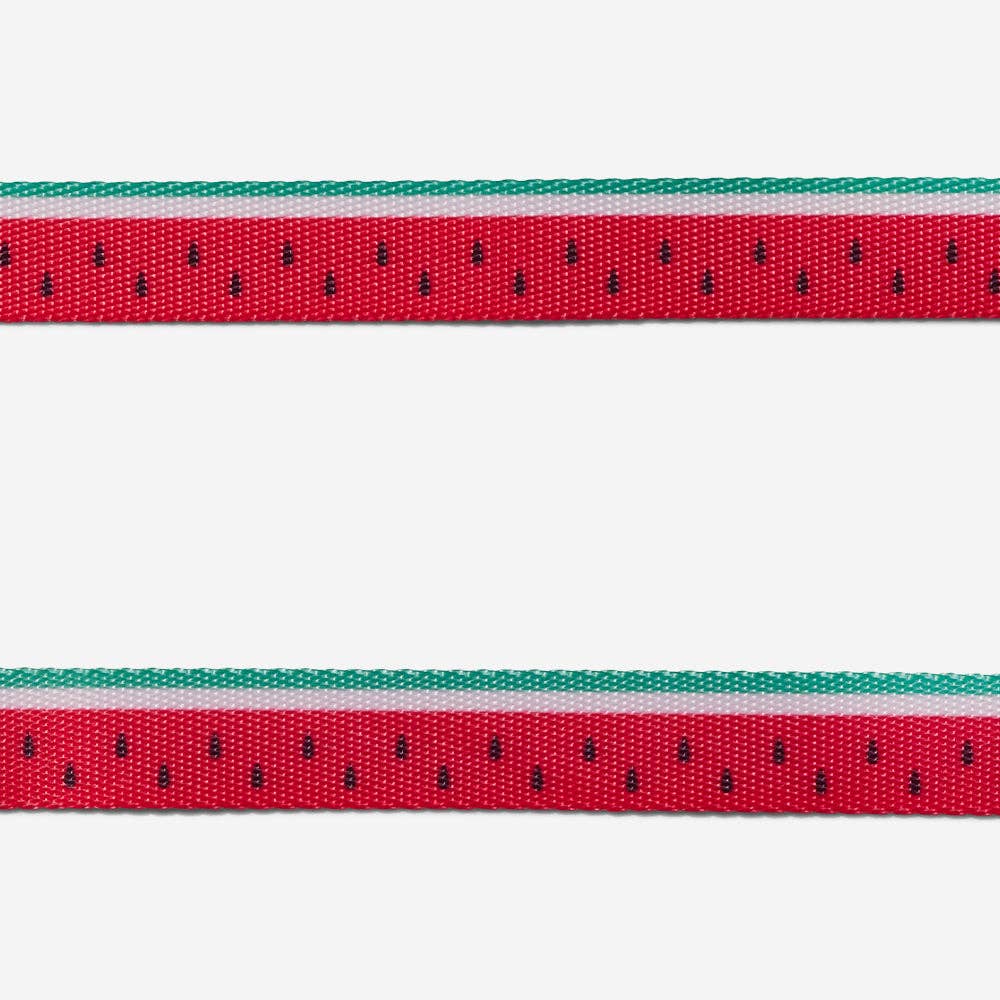 Hundog - Official zee.dog distributor - Wholesale Pet Harness - Cat - Lola Cat Harness and Leash Set3