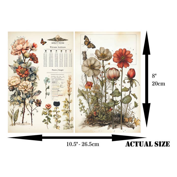 Craft Kreatively - Venta al por mayor Material para manualidades - Páginas Botánicas Decoupage Papel de Arroz - A4 - 6 piezas – Manualidades
