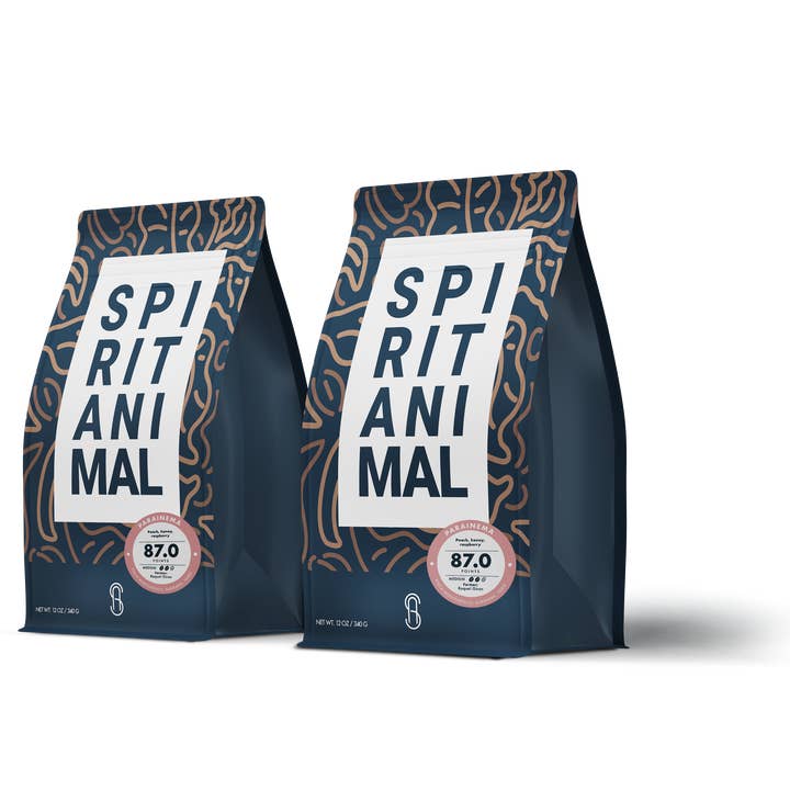 Parainema Specialty Coffee 2-pack for wholesale by Spirit Animal Coffee