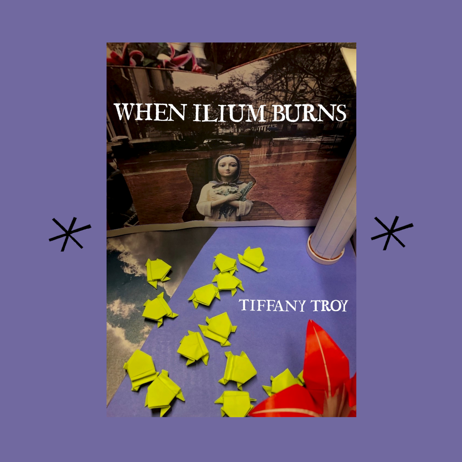 Bottlecap Press - Wholesale Poetry & Drama - When Ilium Burns, by Tiffany Troy0
