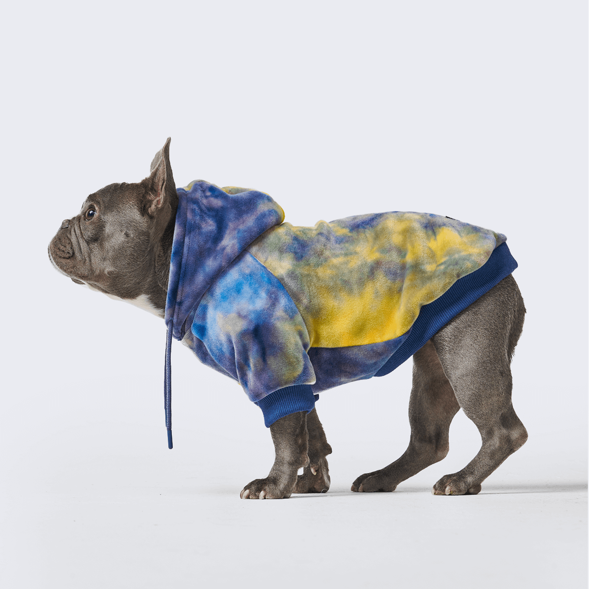 Spark Paws - Wholesale Pet Hoodie - Dog - Velvet Dog Hoodie - Nova8