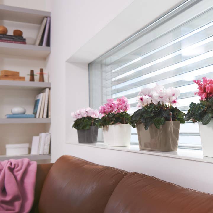 Lechuza Self Watering Planters - Vendita all'ingrosso Vasi per piante - LECHUZA DELTA Fioriera da tavolo/davanzale in poliresina6