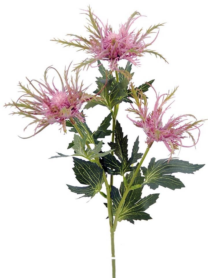 R.Exot.Holly X3 Pink 67cm for wholesale by Aguilar Málaga