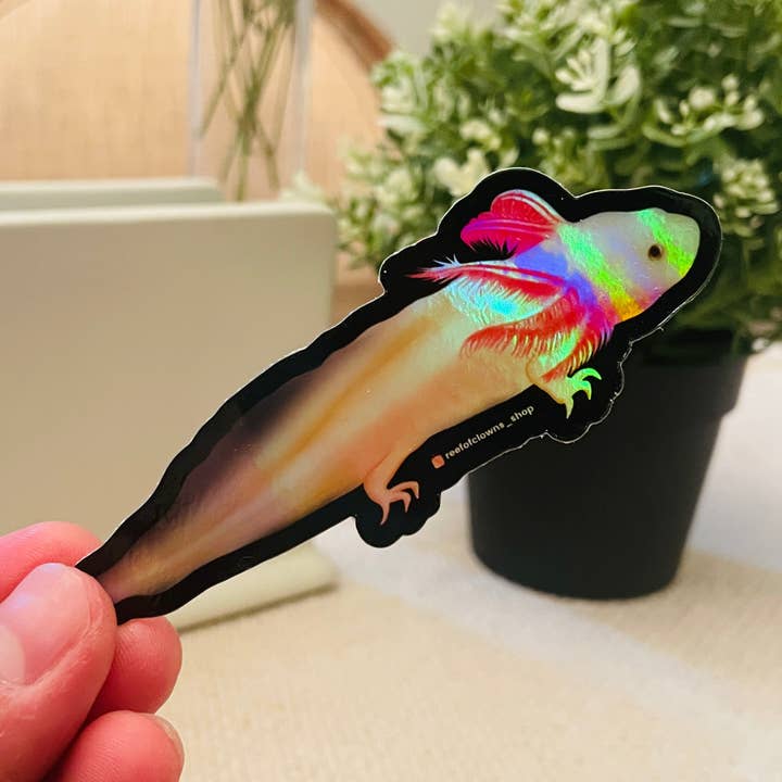 Axolotl Sticker (Holographic) for wholesale by Reef of Clowns