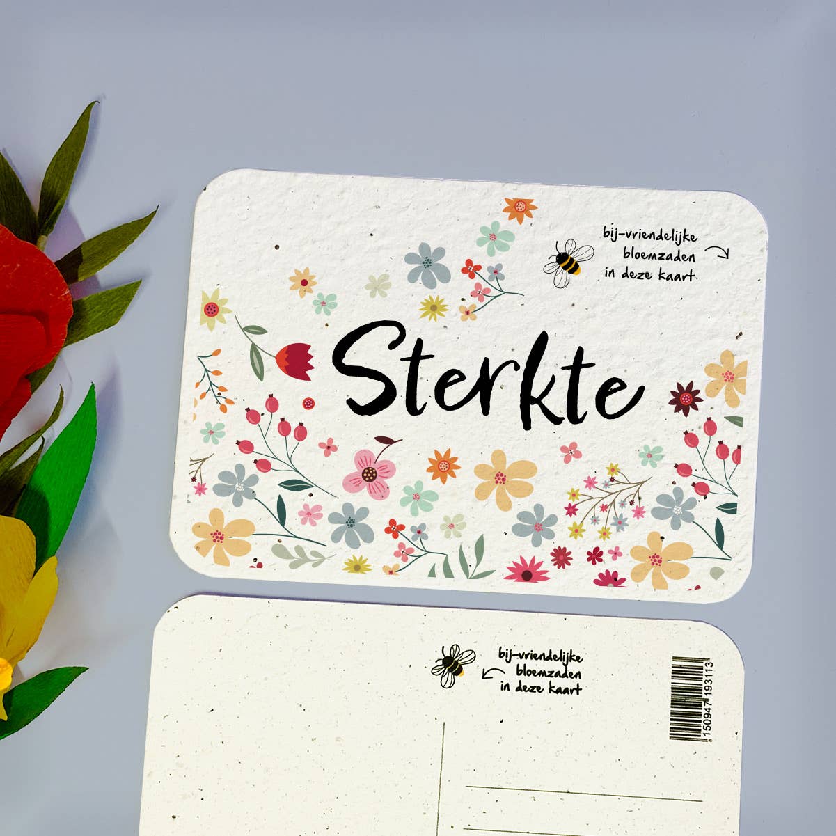 BLOOM your message - Vendita all'ingrosso Semi di piante - Cartoline piantabili con semi di fiori (set)5