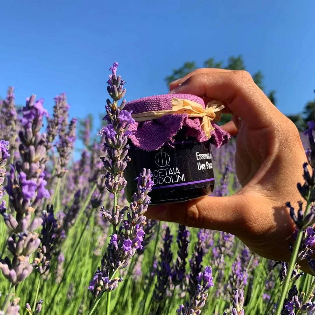 Acetaia Oddolini - Wholesale Vinegar - Essence with Raisins, Gourmet Compound - 100 ml2