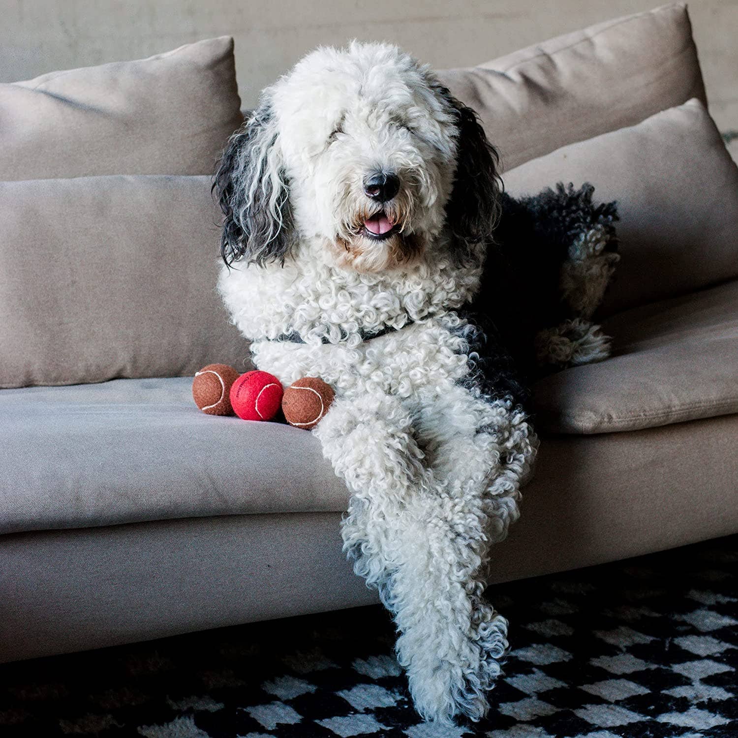 Midlee Designs – Bola para cão - Cão por atacado – Bolas de tênis para cães de Natal Midlee Red Nose (padrão)5