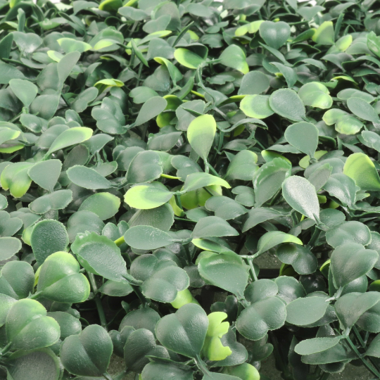 Larksilk – wholesale Artificial plant – 20" X 20" Faux Boxwood Panels - Realistic Greenery For Home4