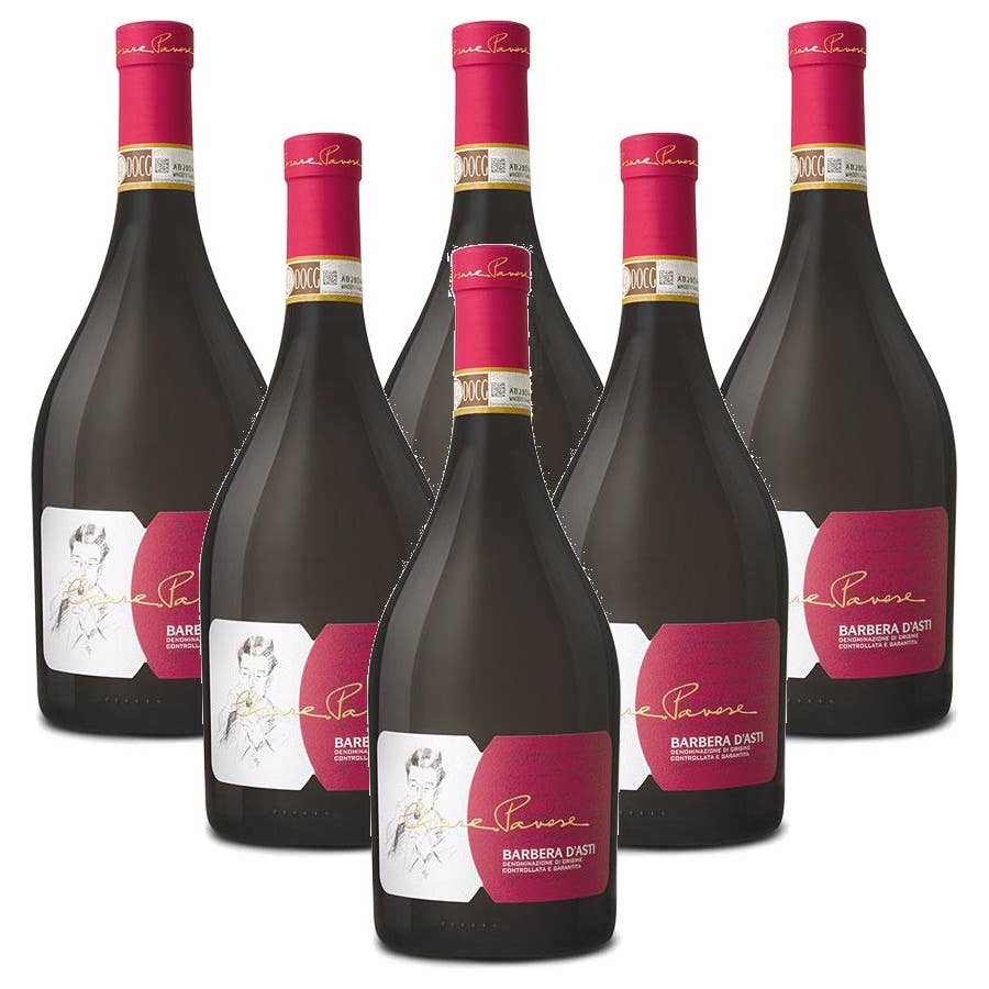 Metina SAS - Venta al por mayor Vino tinto - Barbera D'Asti Superiore DOCG Cesare Pavese1