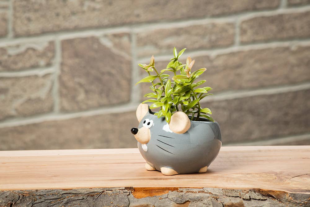 Abbott – wholesale Plant pot – Mini Mouse Planter-Gry-2"H1