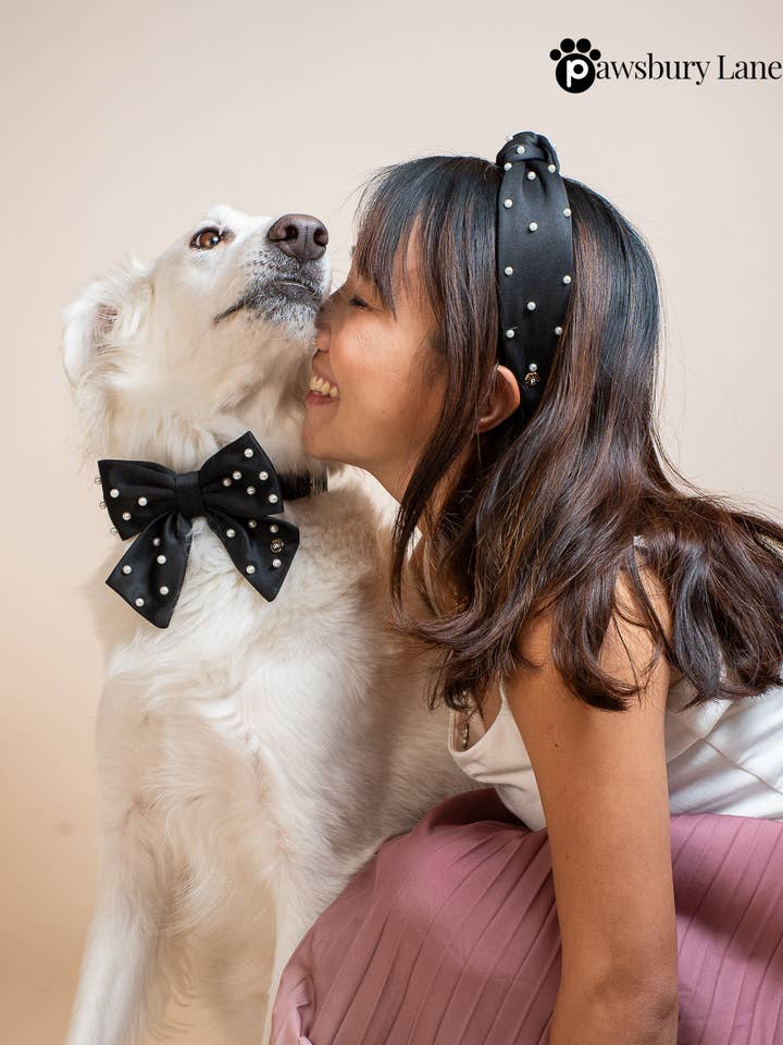 Bandeau assorti pour propriétaire et nœud papillon pour animal - Sucre et Perles - Jet pour la vente par Pawsbury Lane