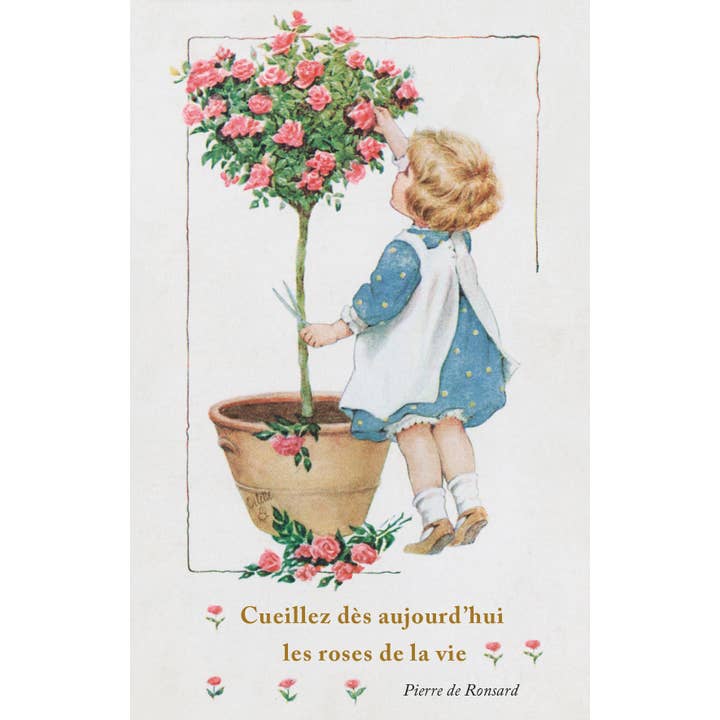 LUDOM EDITION – wholesale Postcard – Postcard the roses of life