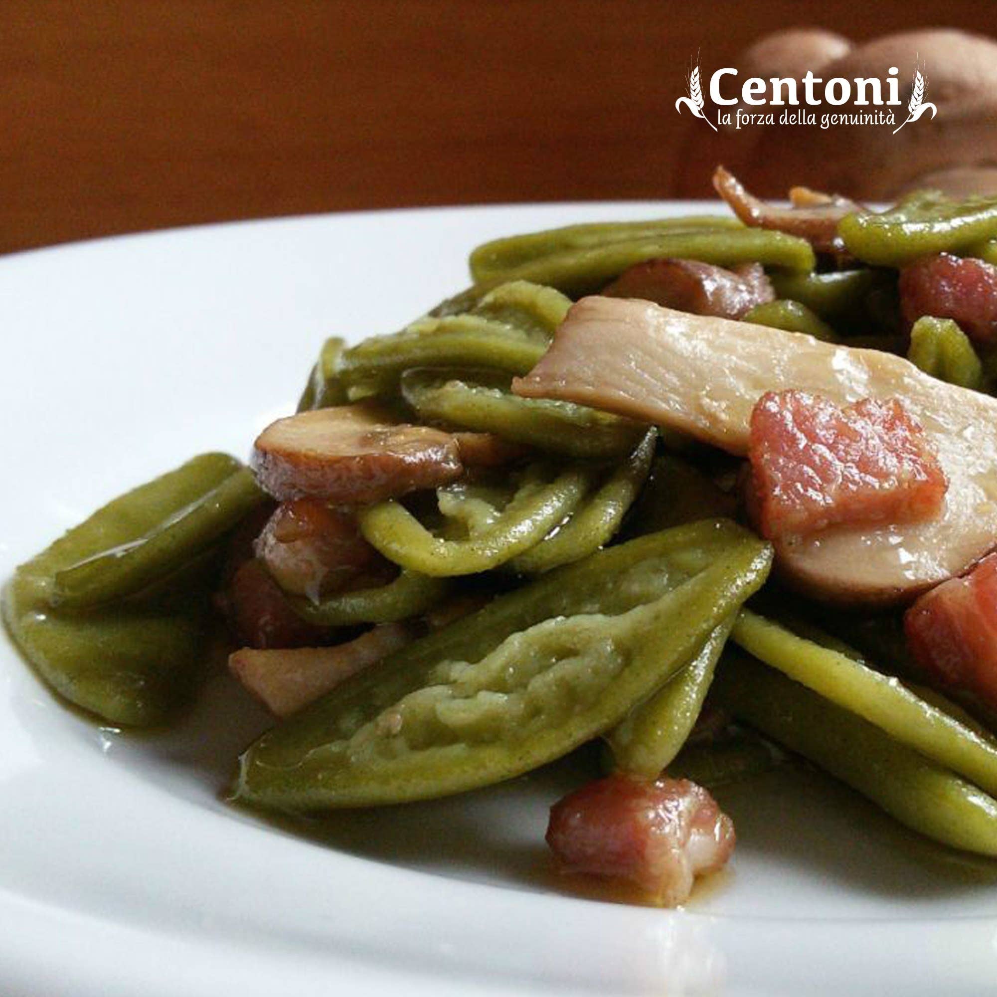 Pasta Centoni - Lorè S.r.l. - Wholesale Pasta - Foglie d'Ulivo spinach flavored 500 g (artisanal shape)3