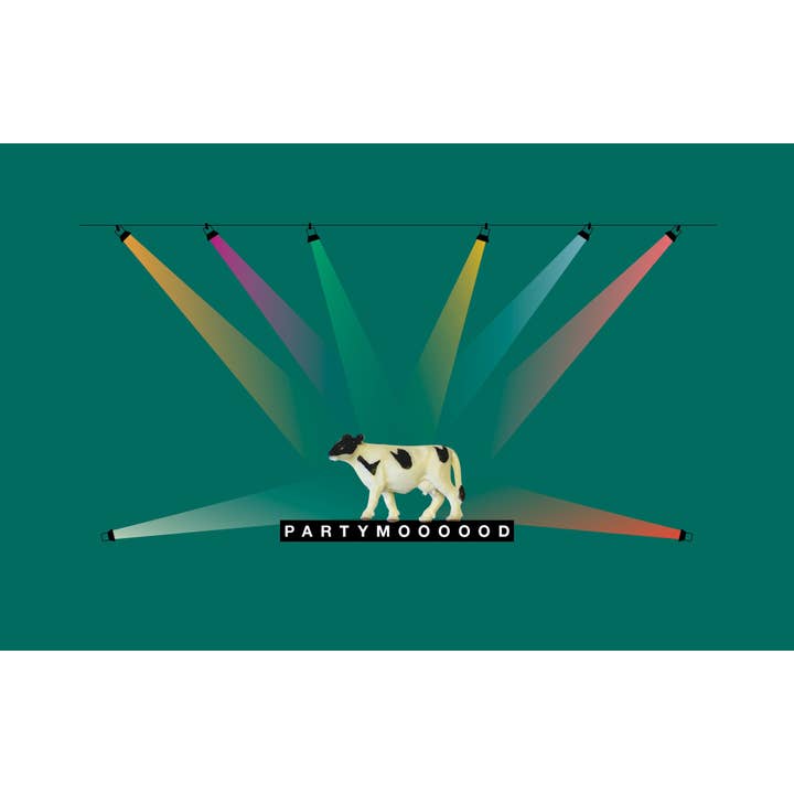 LK 282 LUC Mucca per la vendita all'ingrosso da parte di Leuke Kaartjes