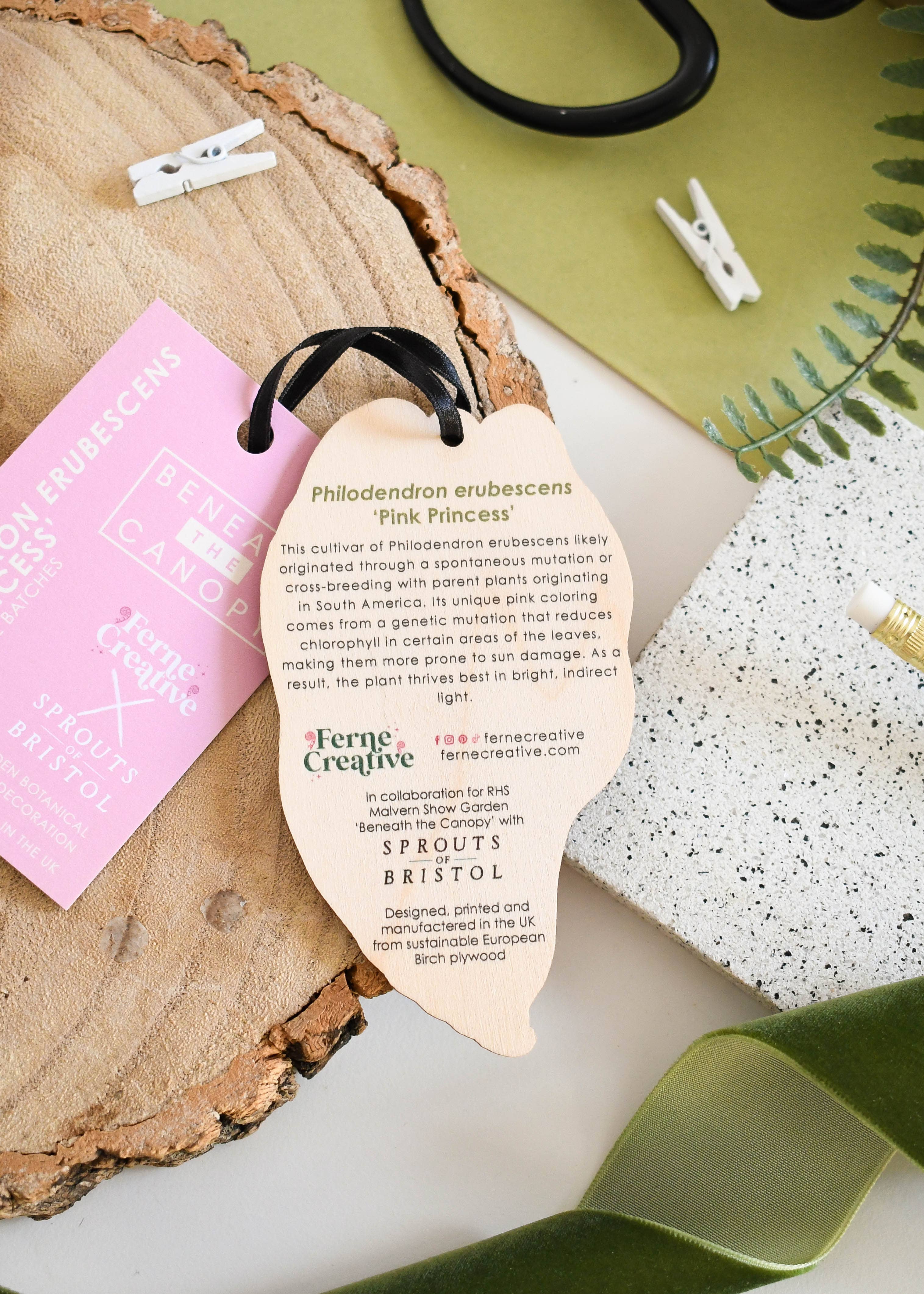 Ferne Creative – wholesale Juldekoration – Philodendron erubescens 'Pink Princess' Dekoration1