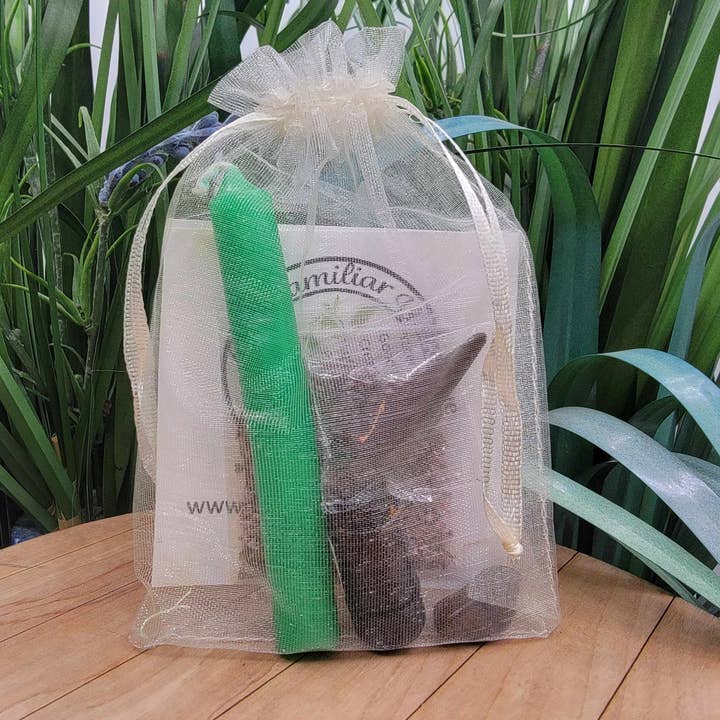 Mystical Roots - Wholesale Meditation Supplies - Simple Spell Kit for Beginners, Luck2