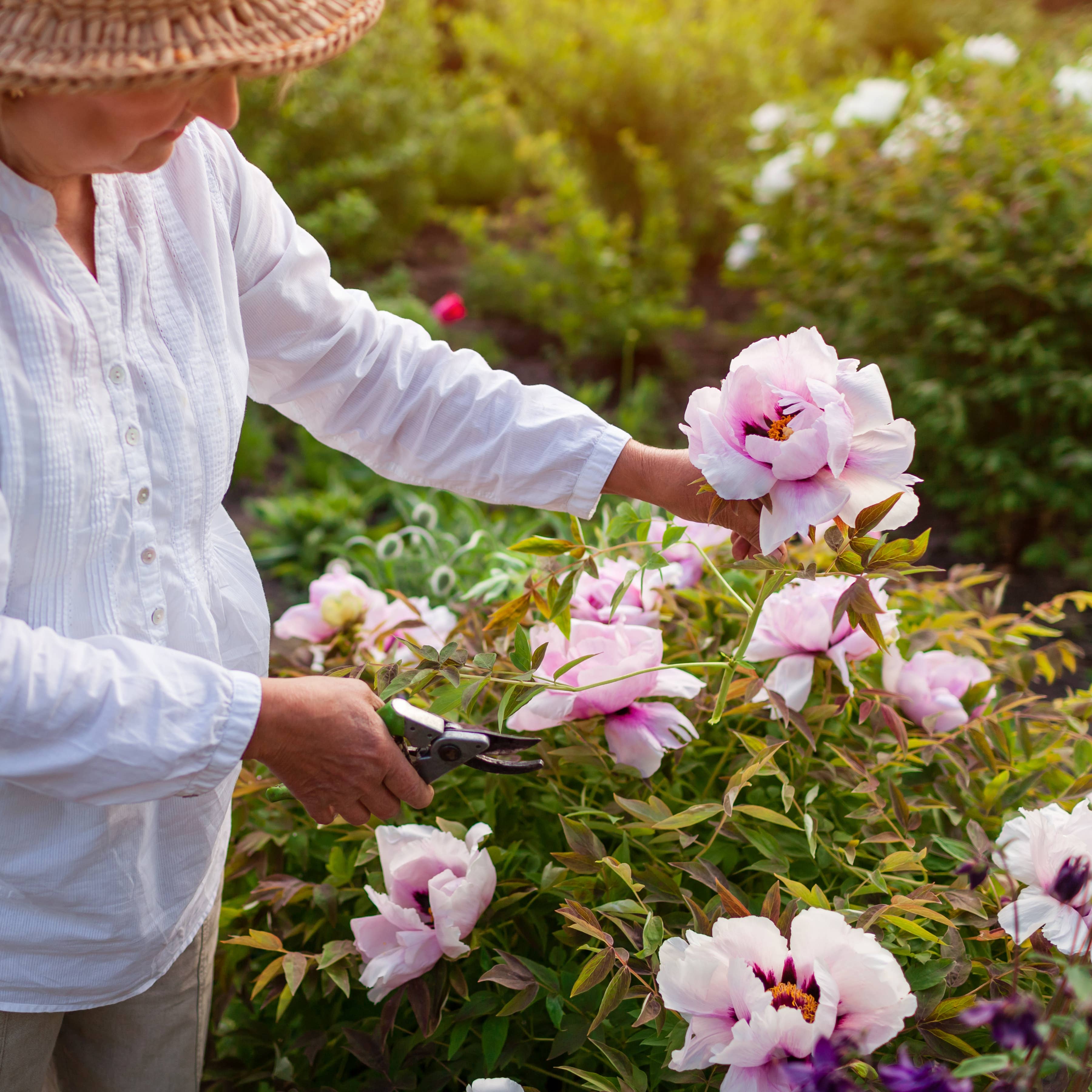 The Grandparent Gift Co. Inc. - Wholesale Wind Chime - Memorial Garden: Love Blooms Sympathy Windchime - 90046